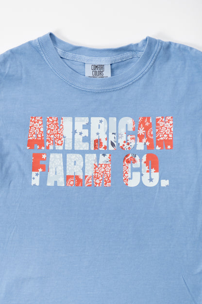 Paisley 'American Farm Co.' Toddler/Youth Blue Tee