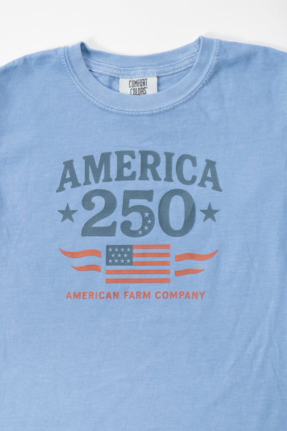 Patriotic 'America 250' Toddler/Youth Blue Tee