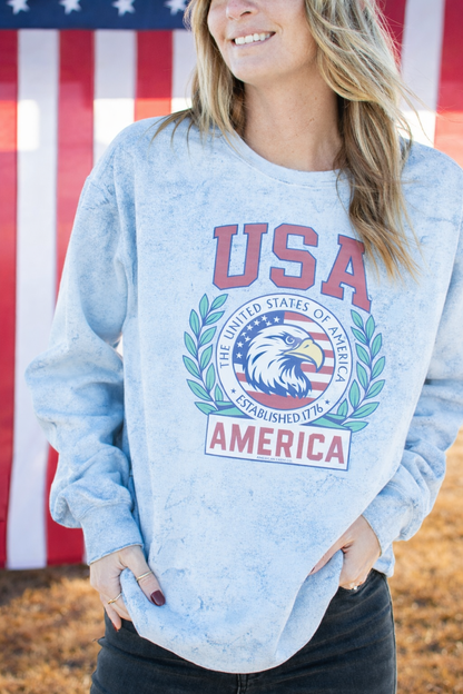 Patriotic 'USA' Red Seal Colorblast Crewneck