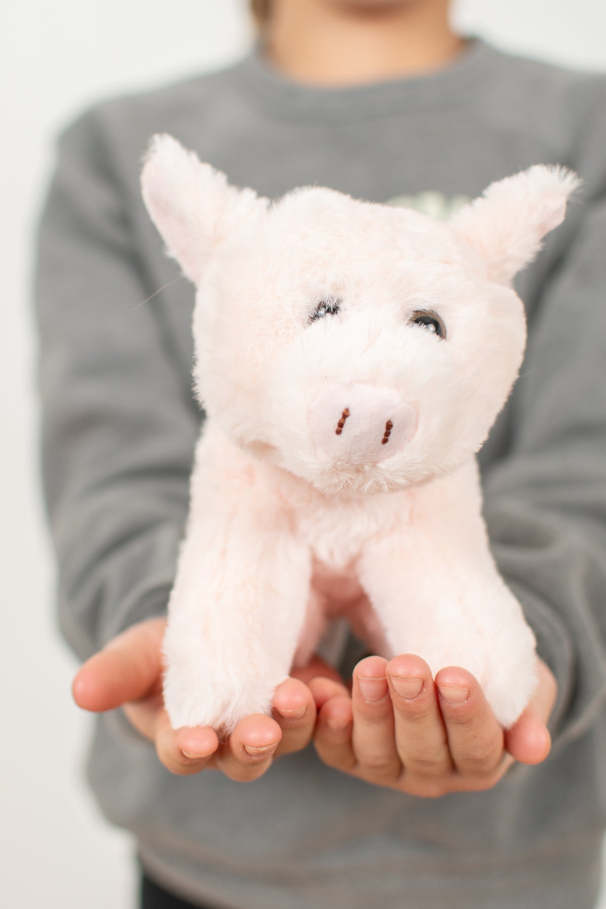 Pig Stuffed Animal Plush - 6"