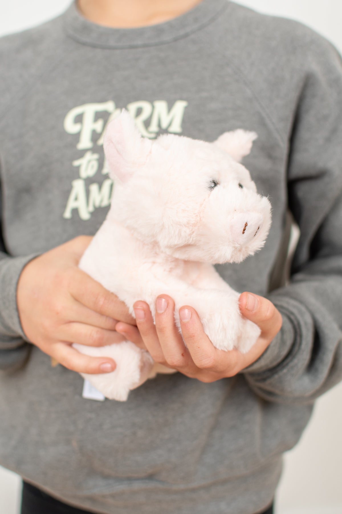 Pig Stuffed Animal Plush - 6"