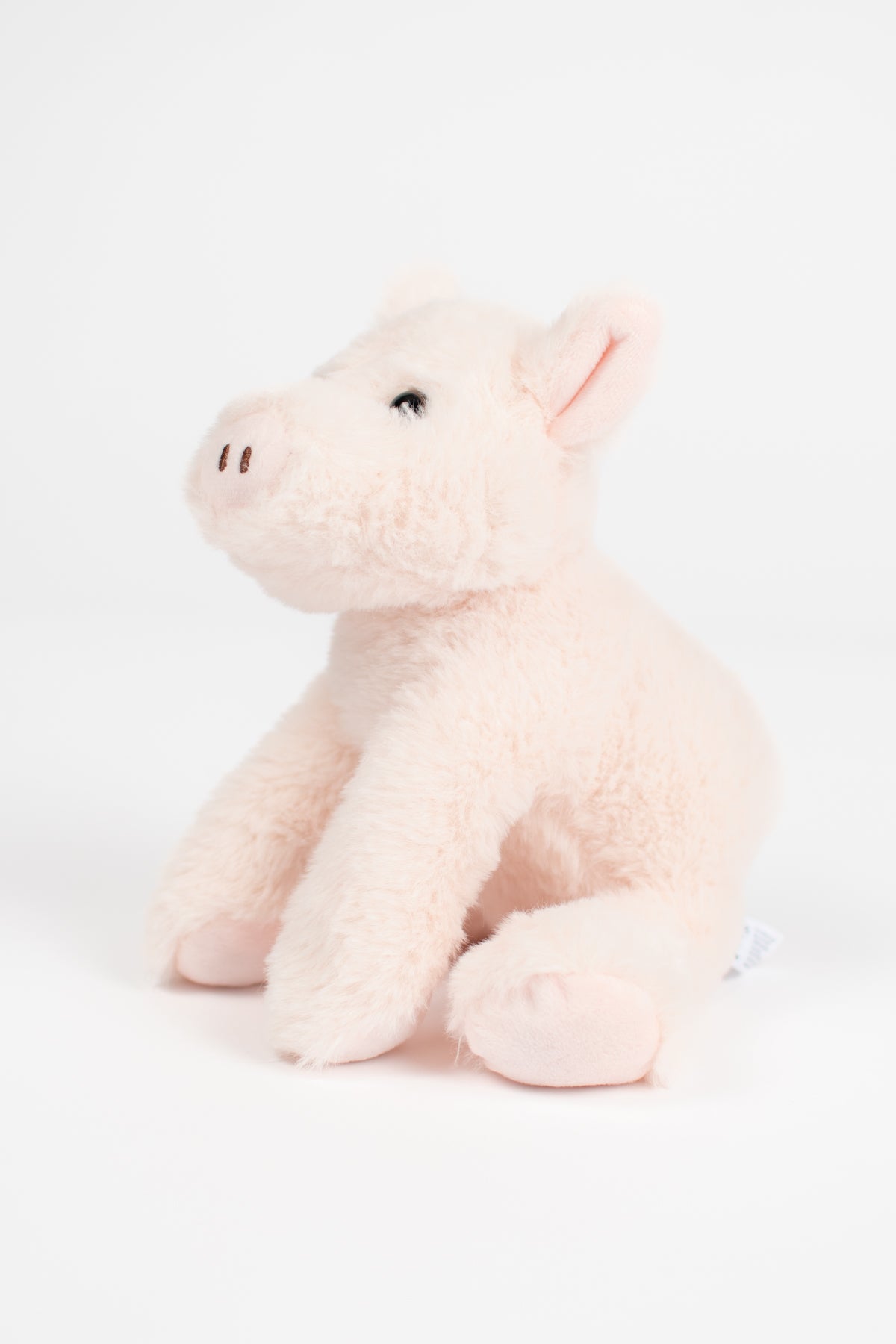 Pig Stuffed Animal Plush - 8"