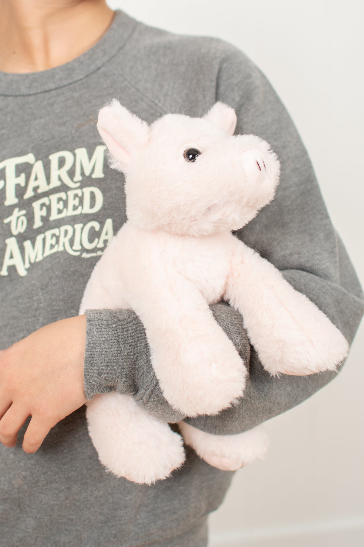 Pig Stuffed Animal Plush - 8"