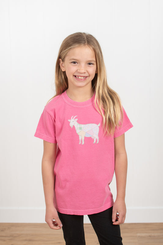 Spring Patchwork Goat Toddler/Youth Tee