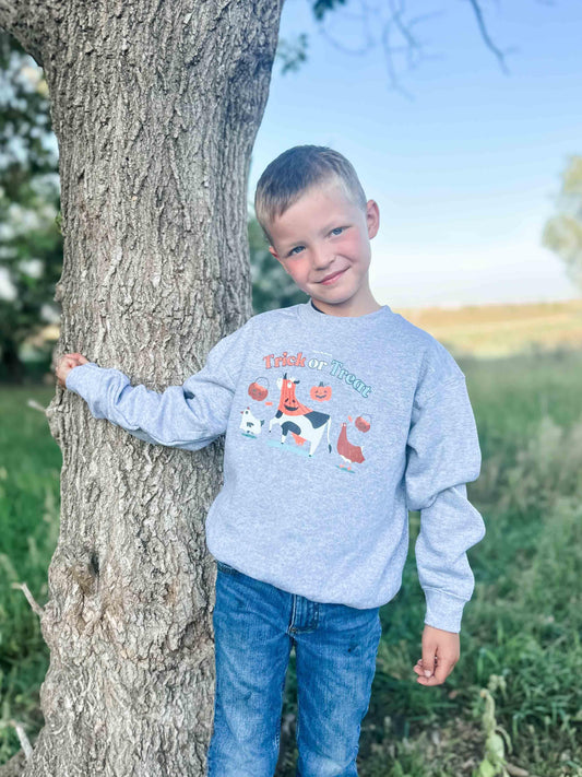 Trick or Treat Grey Youth Crewneck - American Farm Company