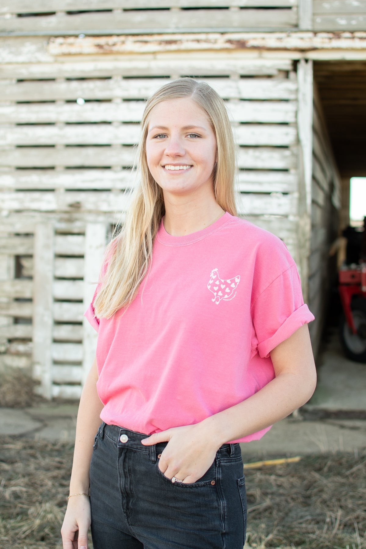Valentine Chickens & Bows Pink Tee