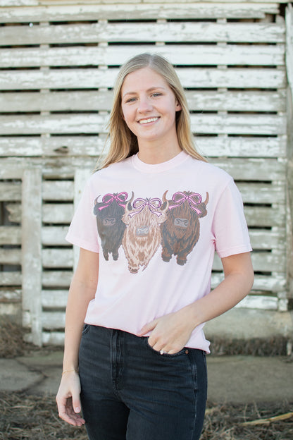 Valentine Highlands & Bows Light Pink Tee