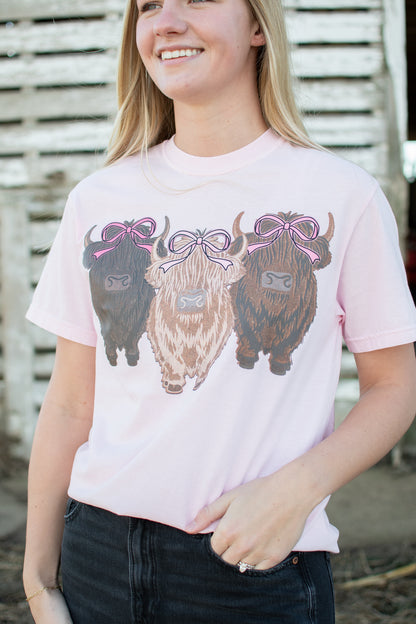 Valentine Highlands & Bows Light Pink Tee