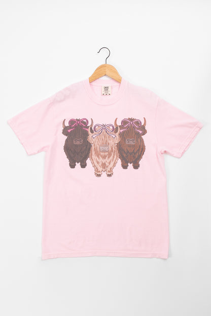 Valentine Highlands & Bows Light Pink Tee