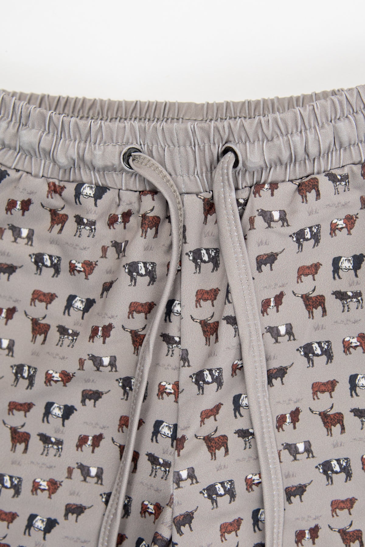 Vintage Cattle Baby Swim Trunk