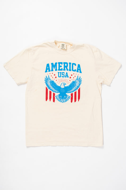 Vintage Eagle 'America USA' Ivory Tee