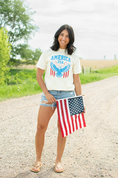 Vintage Eagle 'America USA' Ivory Tee