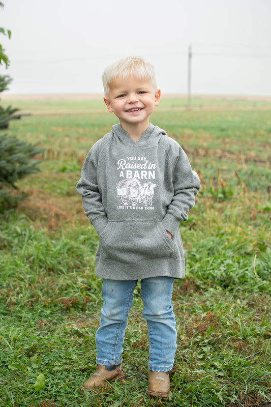'You said Raised in a Barn...' Toddler/Youth Hoodie