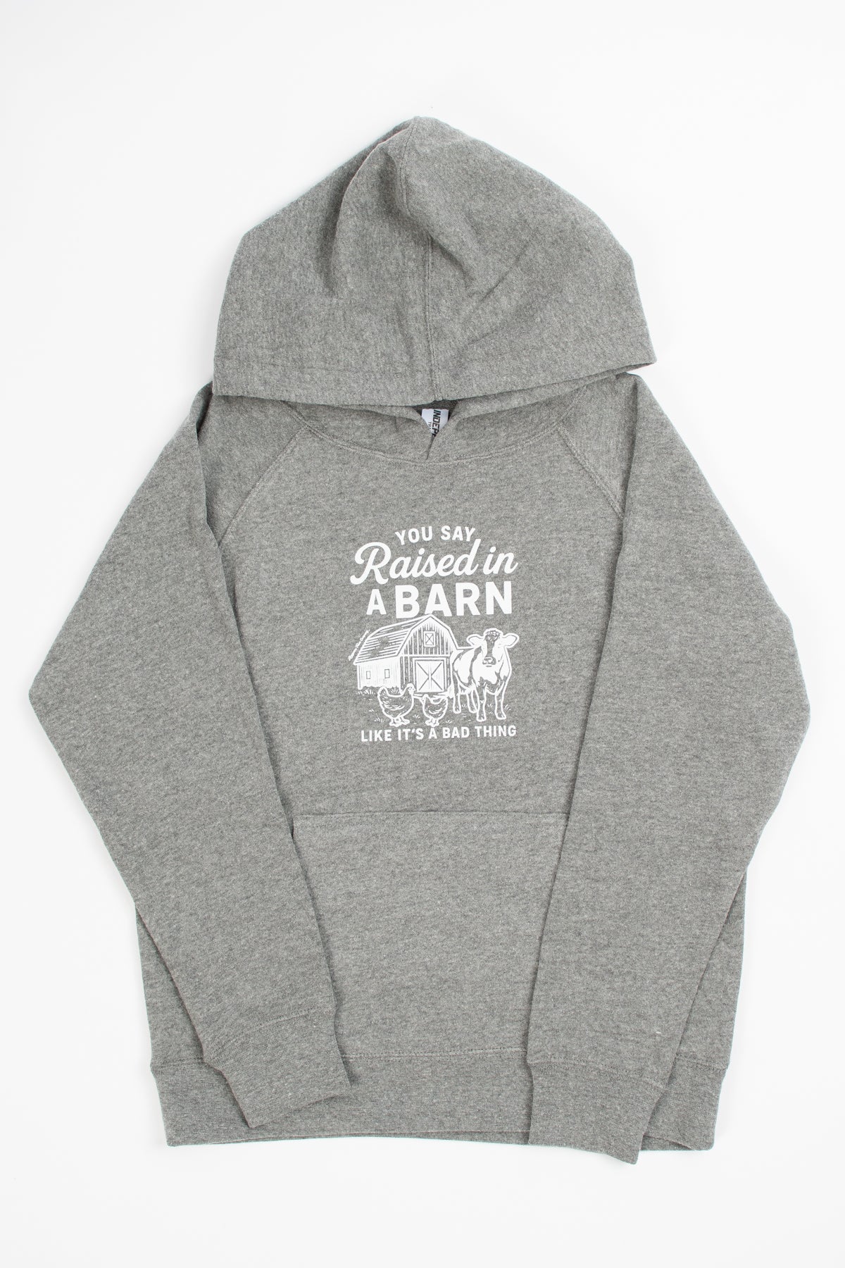'You said Raised in a Barn...' Toddler/Youth Hoodie