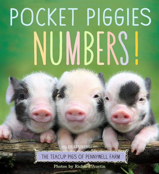 Pocket Piggies Numbers! Book