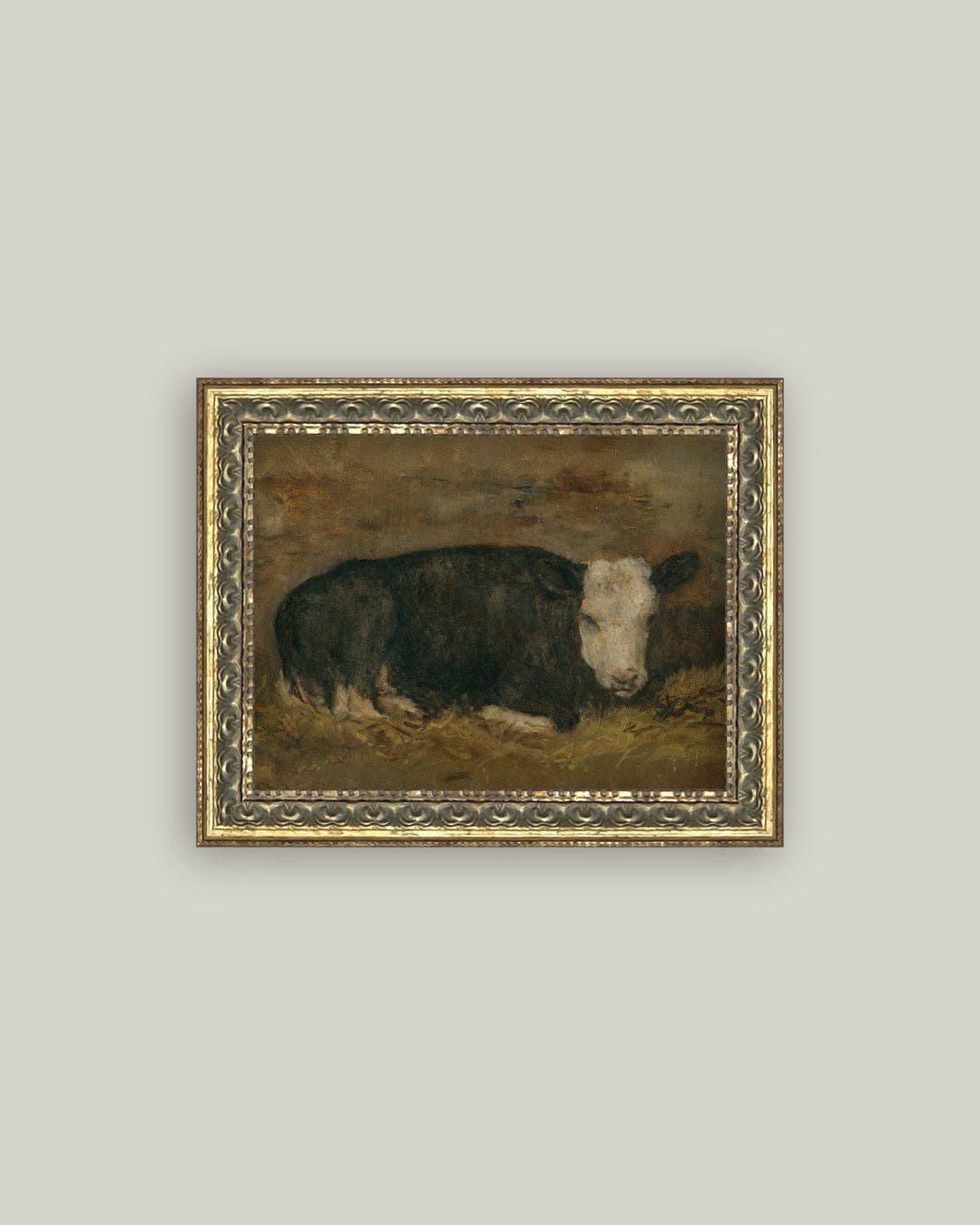 Lying Cow in Shed