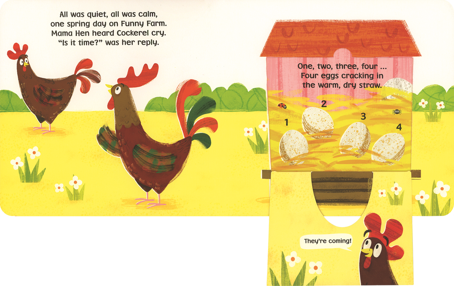 'The Funny Farm: Cluck Cluck Duck' Book