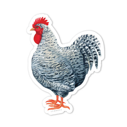 Wyandotte Chicken Sticker