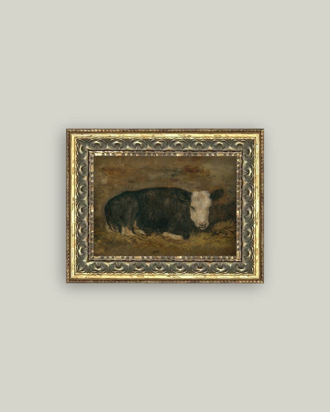 Lying Cow in Shed