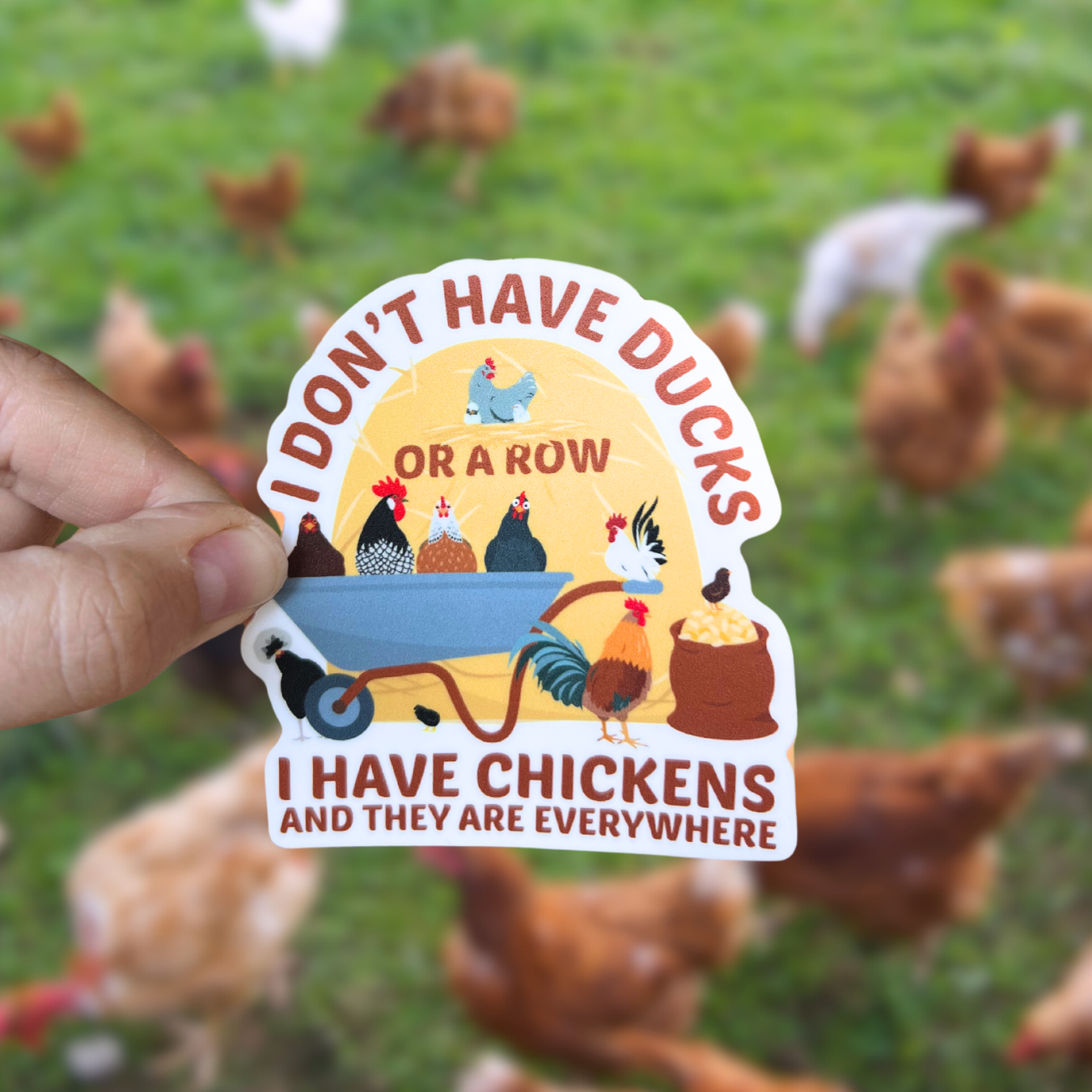 Chickens Everywhere' Sticker