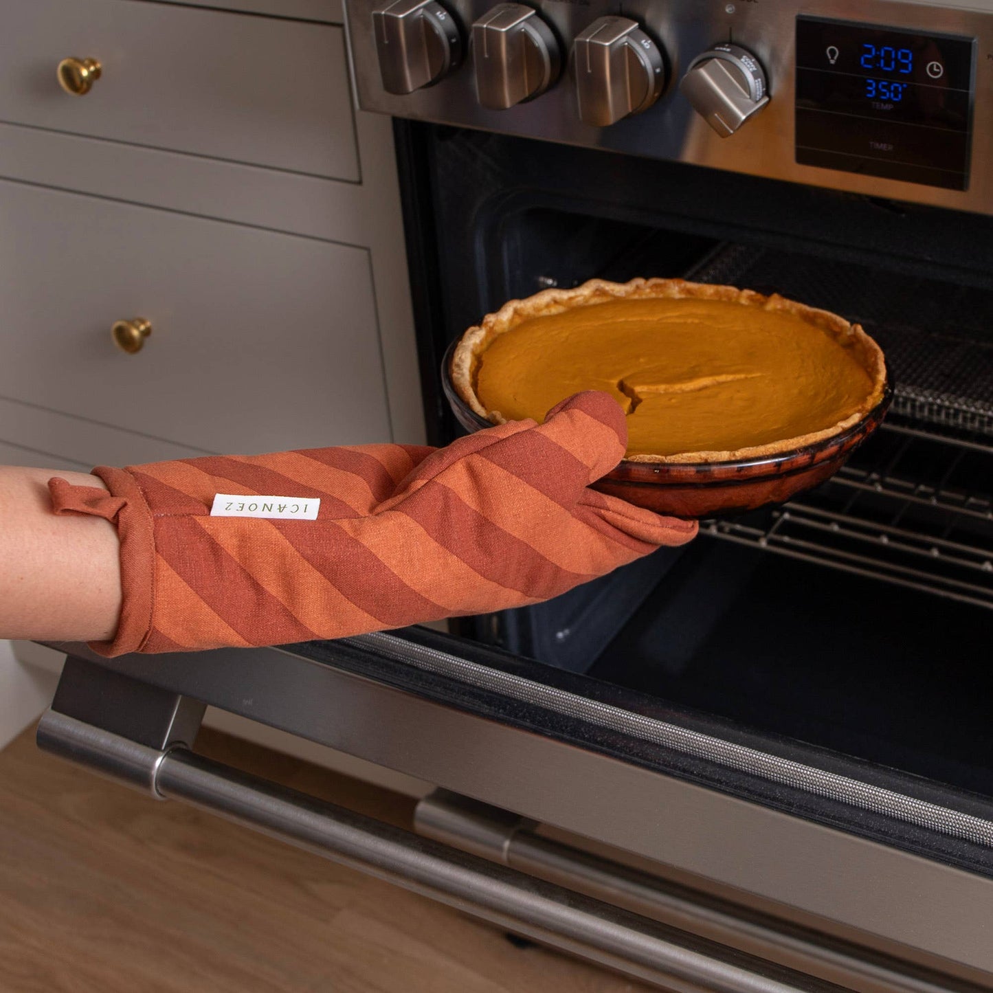 Pie Oven Mitt & Pot Holder