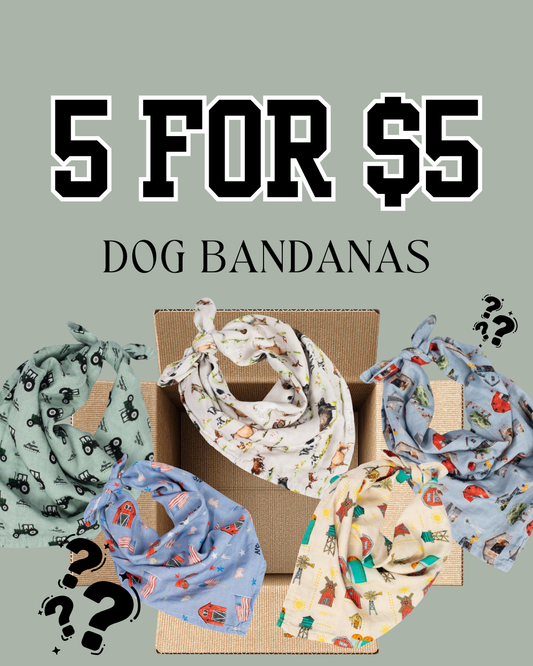 AFC Mystery Dog Bandanas - 5 for $5