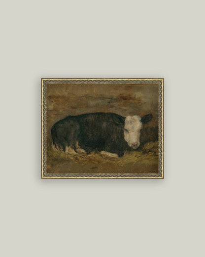 Lying Cow in Shed